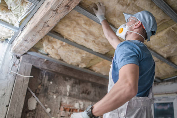 Best Insulation for Specific Applications in Tamalpais Homestead Valley, CA